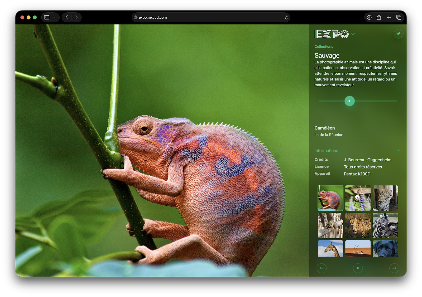 Made with EXPO — visuel 1